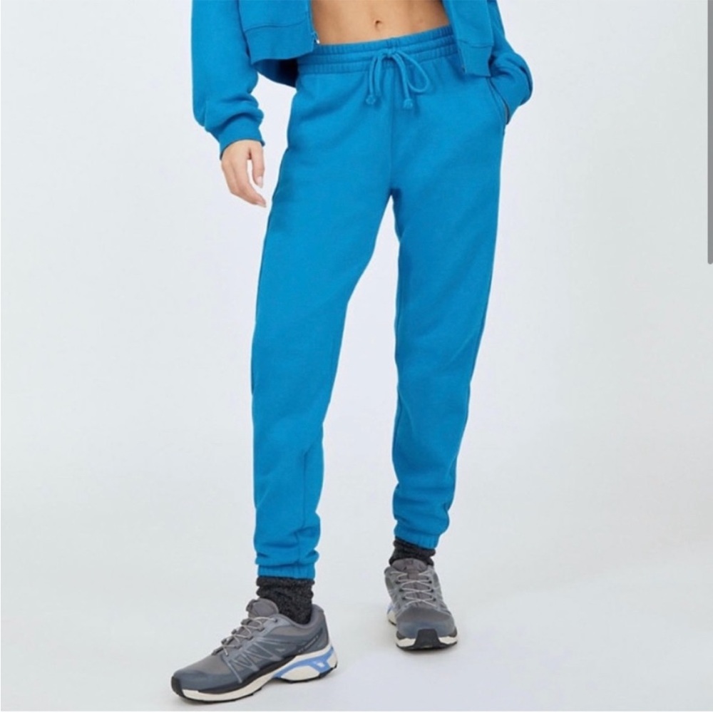 ARITZIA TNA BLUE SWEATPANTS